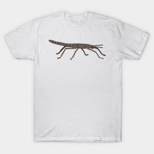 Lord Howe Island stick insect T-Shirt